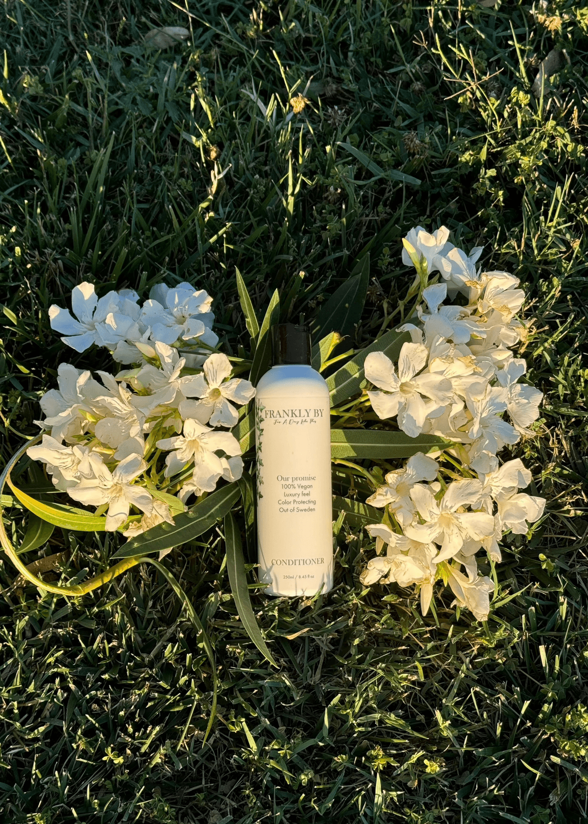 Repairing & Colour Protecting Balsam